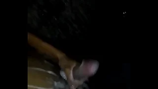 10875601 737498426336034 1564611098 n